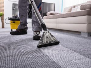 The Best Carpet Steam Clean Service